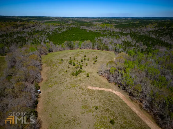 0 McAllister Rd, Buena Vista, GA 31803