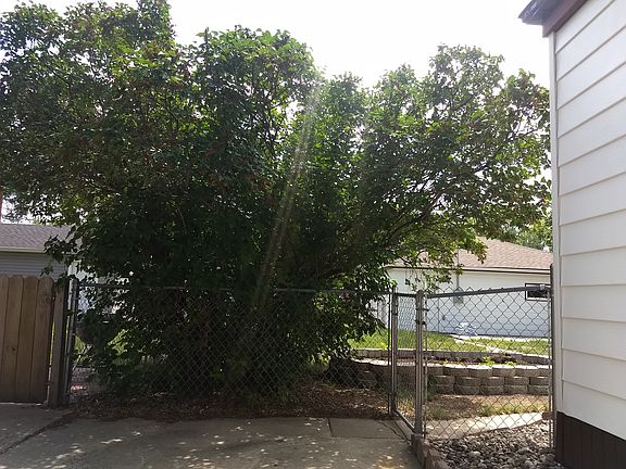 white lilac bush, garden