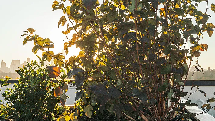 Rented by Nooklyn NYC LLC | media 26