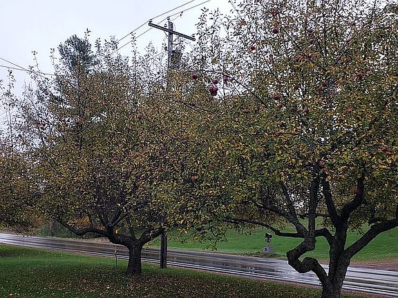 4th image of 35991 State Route 12e
