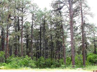 447 Hillside Dr, Bayfield, CO 81122
