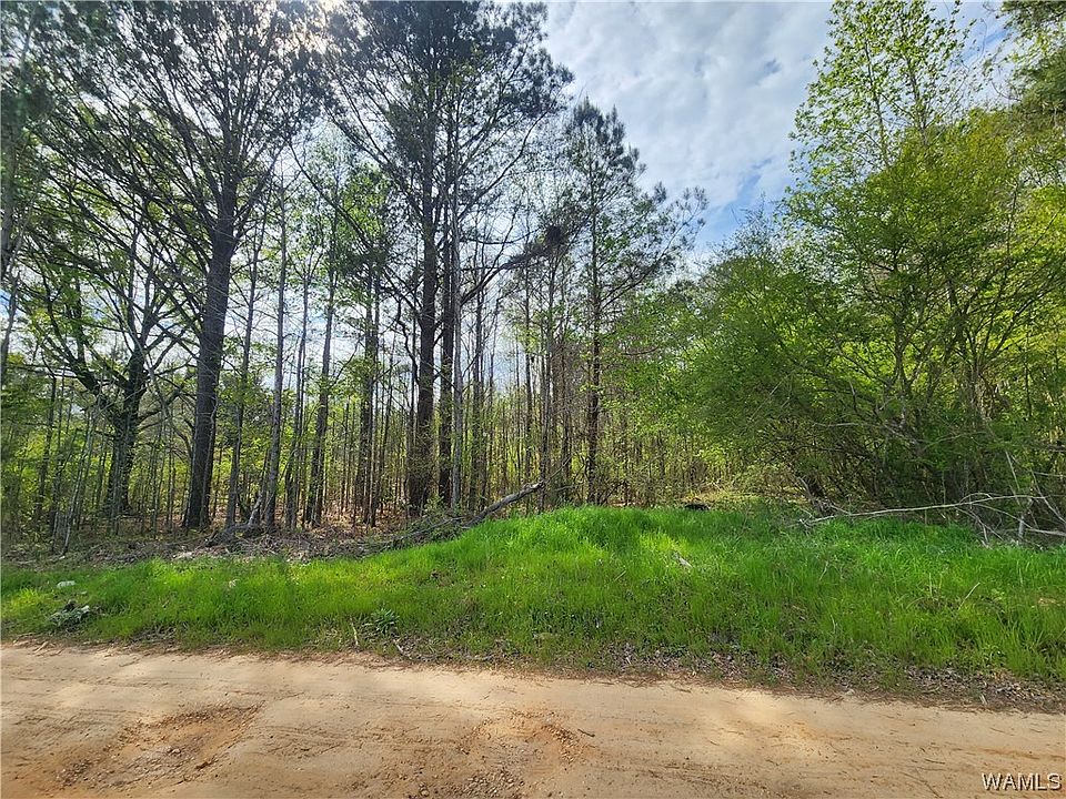Jasmine Ln, Forkland, AL 36740 MLS 156174 Zillow