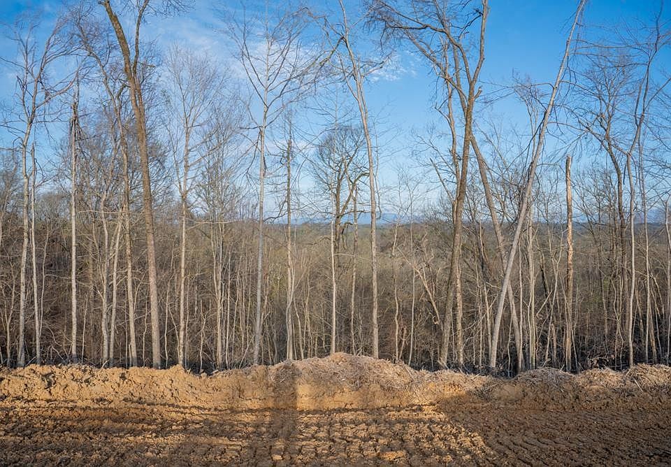 1st image of 166 Reedmont Way Lot 166