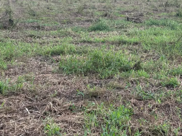 0 Kirby Grange Ave Lot 6, Bath, NC 27808