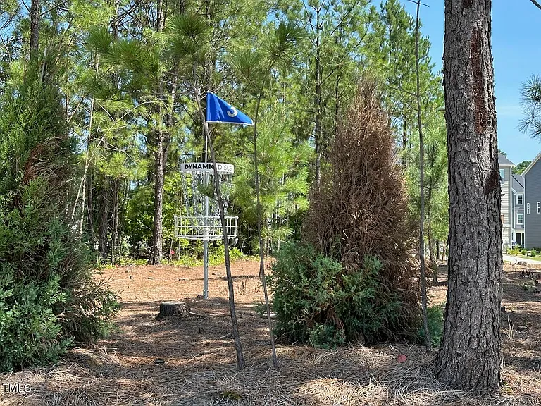 Walking Trail + Park
