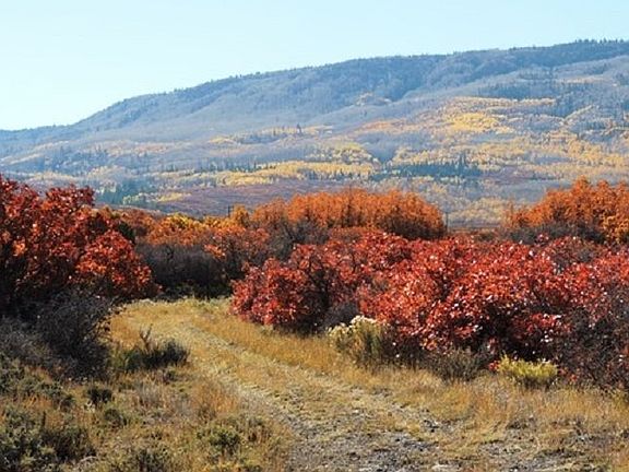 4th image of 65 Tbd Hwy