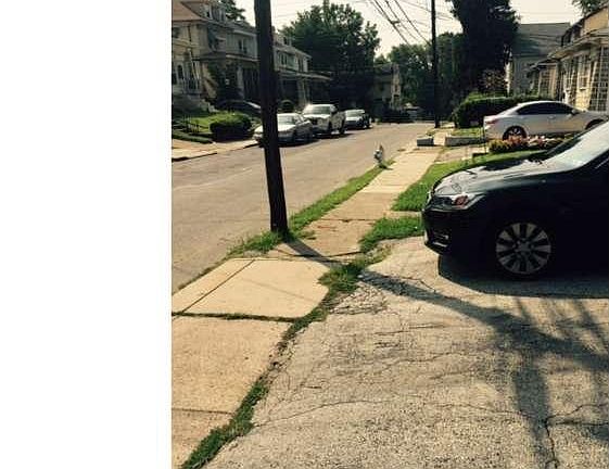 2nd image of 522 Orchard Ave