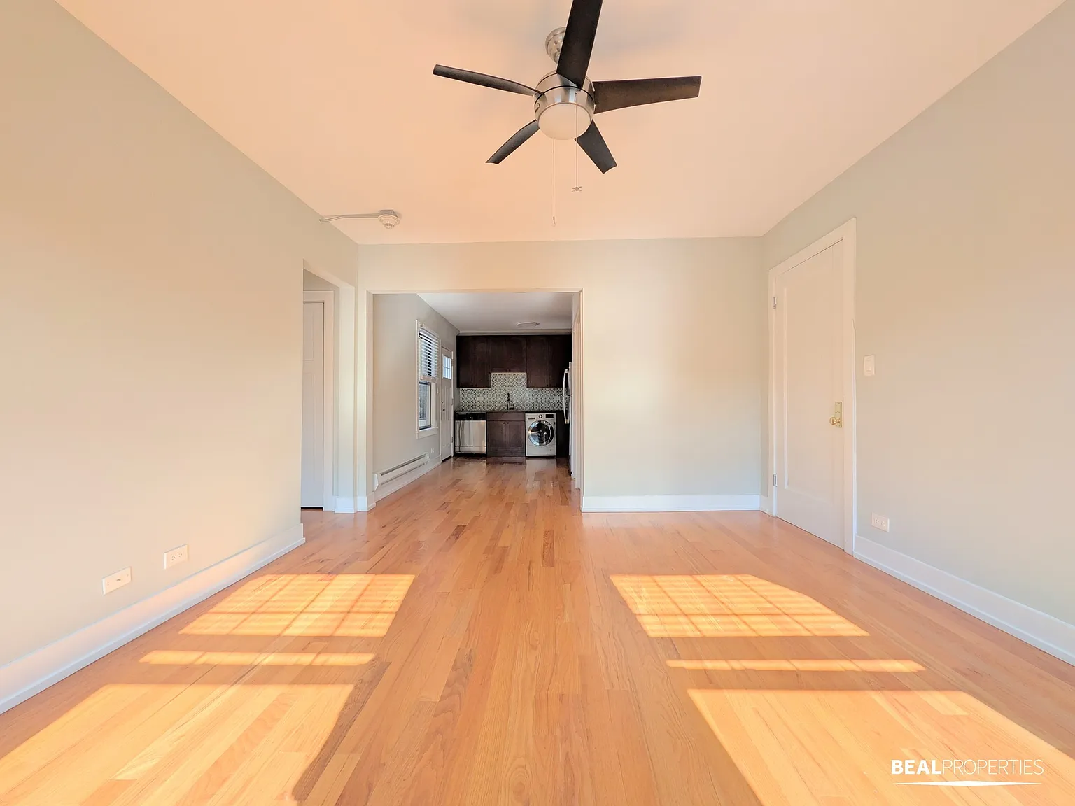 Chestnut — Photo 3
