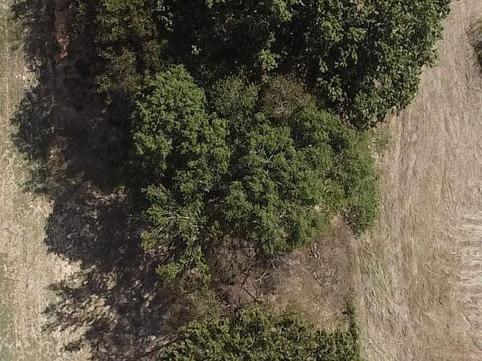 2nd image of TRACT 1 Lapington Rd