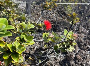 Island Blvd, Ocean View, HI 96737