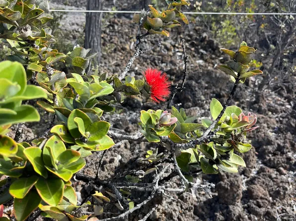 Island Blvd Lot 6, Ocean View, HI 96737