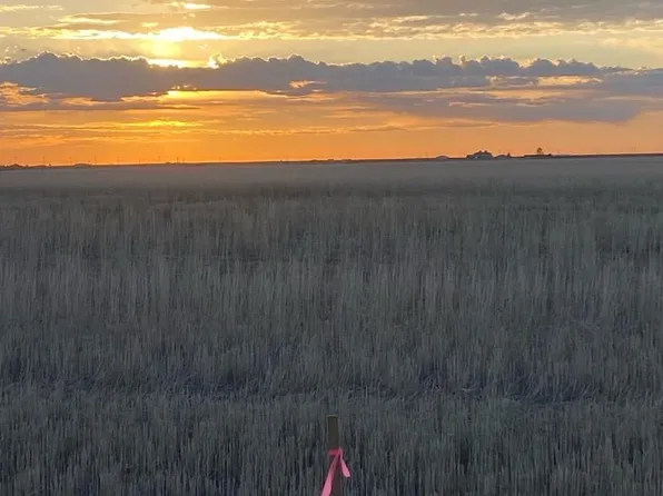 To Be Determined Converse Road, Bennett, CO 80102