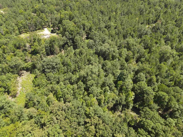 Chicot Trl, Bismarck, AR 71929