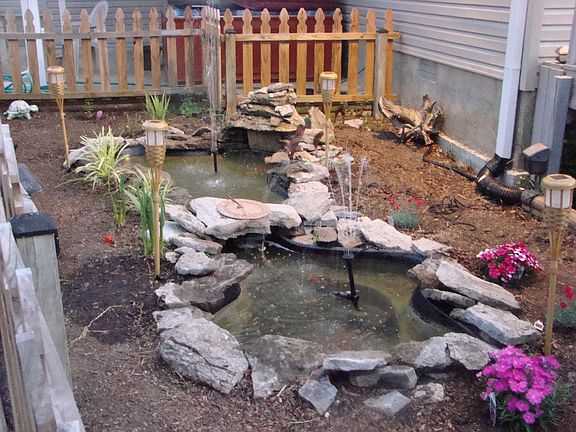 Gold fish ponds and garden