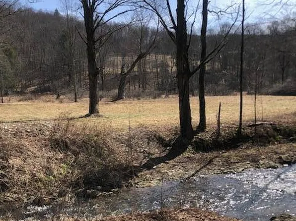 Finch Hollow Rd, Walton, NY 13856