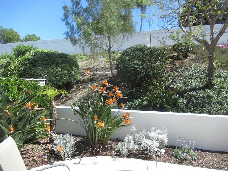 6033 Patmos Way — Photo 23