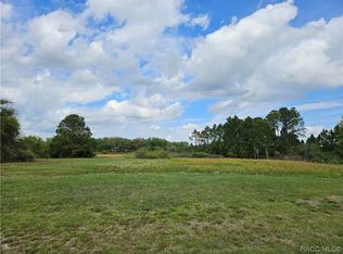 461 Long And Winding Rd, Howey In The Hills, FL 34737