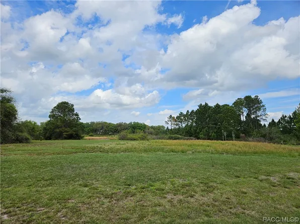 461 Long And Winding Rd, Howey In The Hills, FL 34737