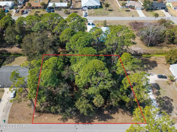 2904 India Palm Dr, Edgewater, FL 32141