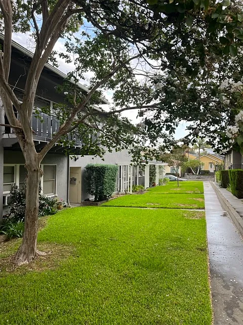 2 bed, 800 sqft, $2,200 — Photo 2