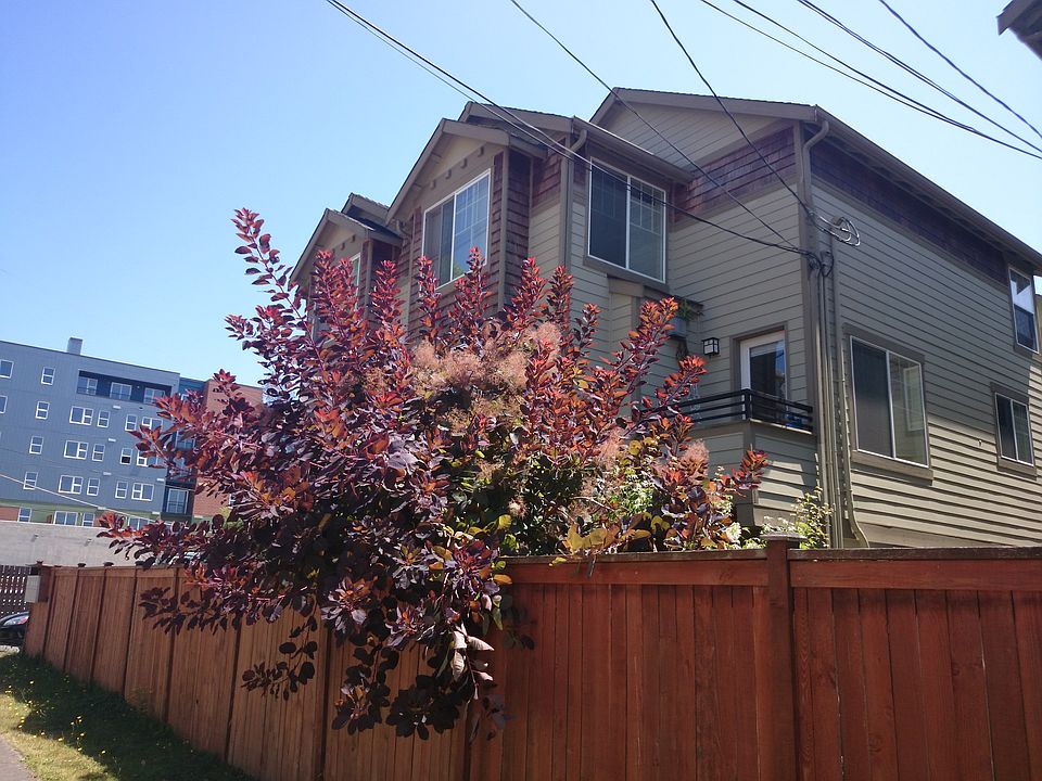 2nd image of 5517 26th Ave NW