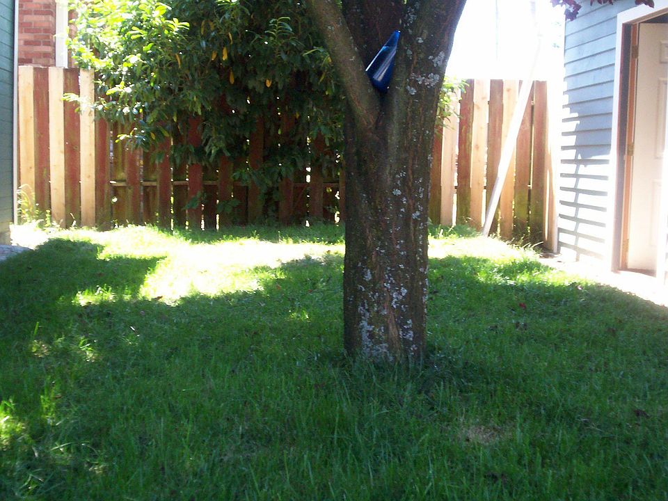 2nd image of 4403 SE 67th Ave