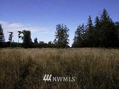 0 XXX Pioneer Park photo 1