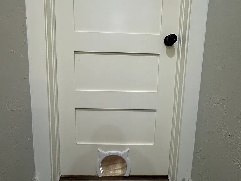 theres a few of these cat doors in the house