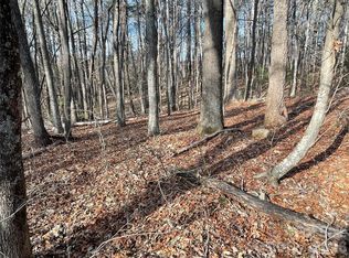 220 Max Metcalf Rd, Swannanoa, NC 28778