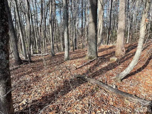 220 Max Metcalf Rd, Swannanoa, NC 28778