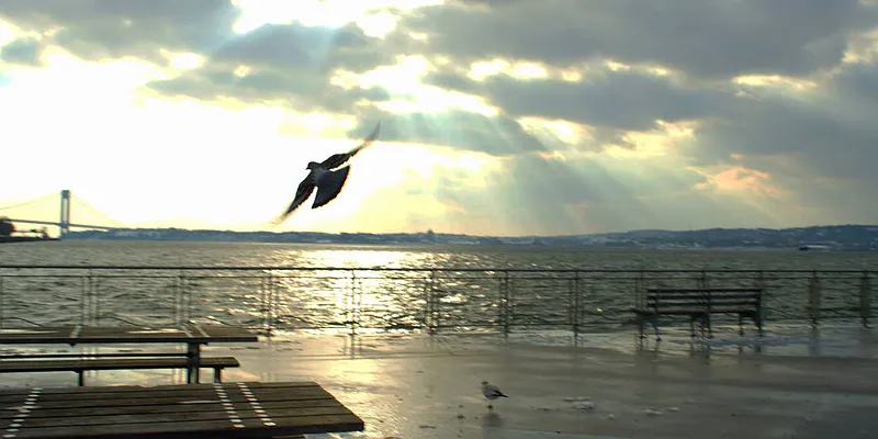 Rented by Norman Raindel, LREB | media 27