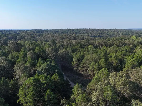 (undisclosed Address), Damascus, AR 72039