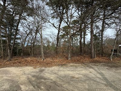 30 Olive St, Oak Bluffs, MA, 02557