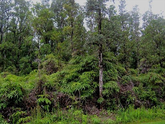 1st image of N Kumukahi St Lot 26