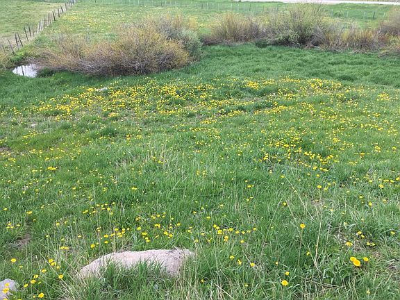 4th image of 91655 Us Highway 89