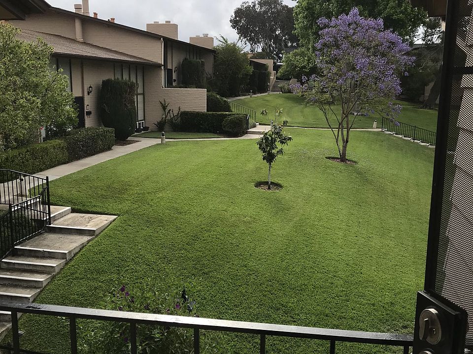 View from Front Door