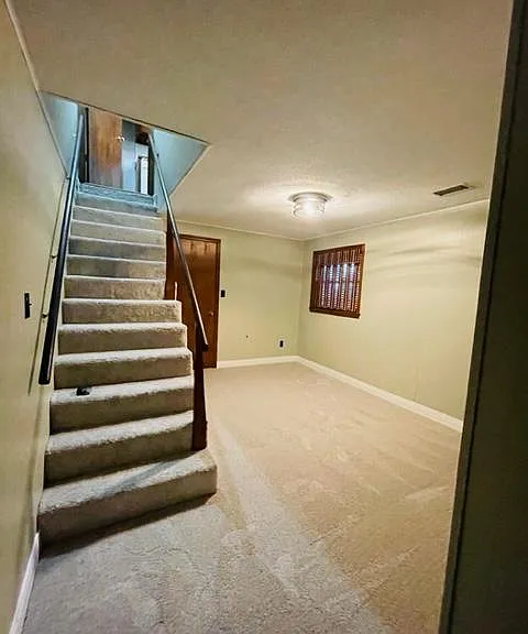 Lower Family Room