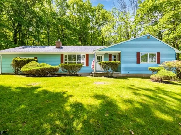 6 Spring Mountain Rd, Lebanon Twp., NJ 07830