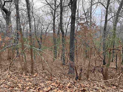 Akicita Dr, Cherokee village, AR, 72529