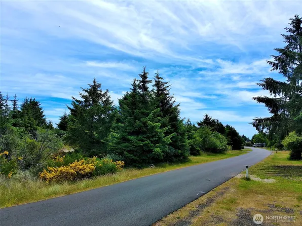710 Island Circle SE, Ocean Shores, WA 98569