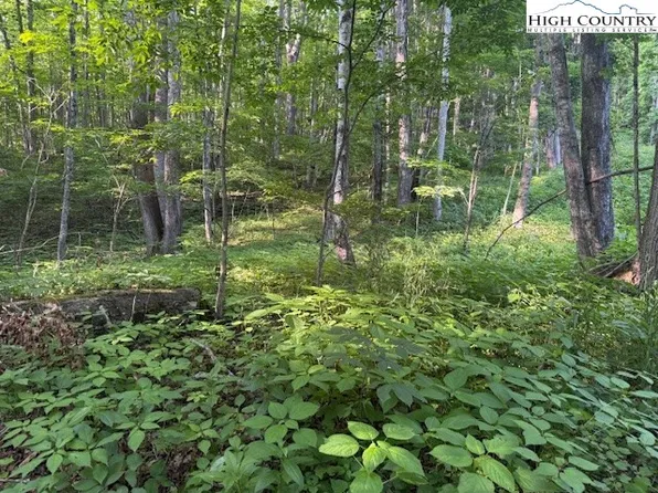 Lot 58 & 59 Beechwood Circle, Creston, NC 28615