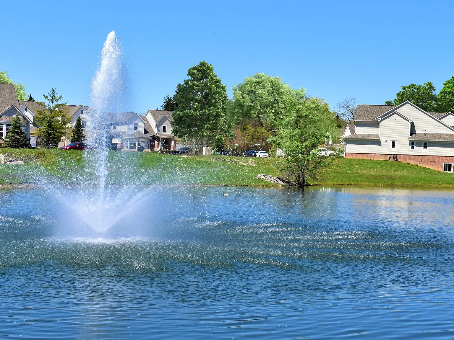 Briggs Park of Troy — Photo 1