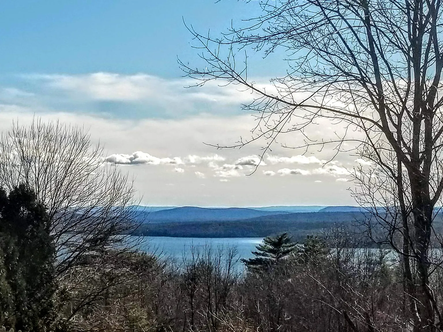 1 bed, 1200 sqft, $2,400 — Photo 3
