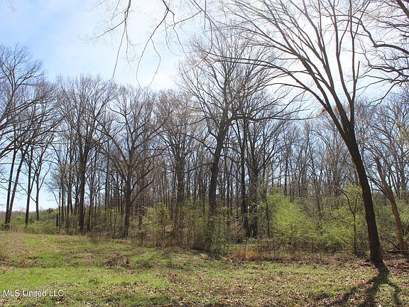 3rd image of 8 Barton Desoto Rd