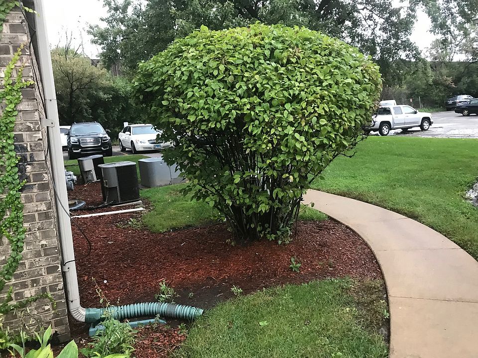 2nd image of 192 Surrey Dr