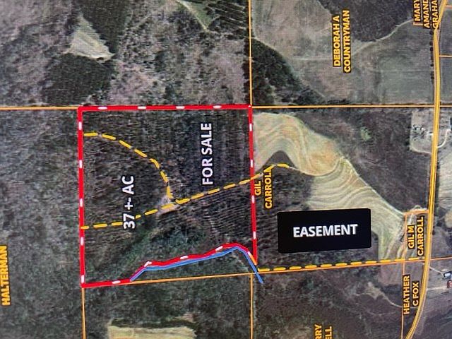 2nd image of 255 Mavis Carroll Rd