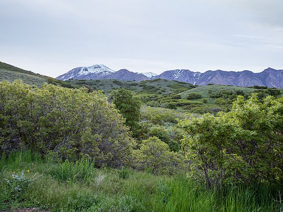 3rd image of 15 E Three Falls Rdg