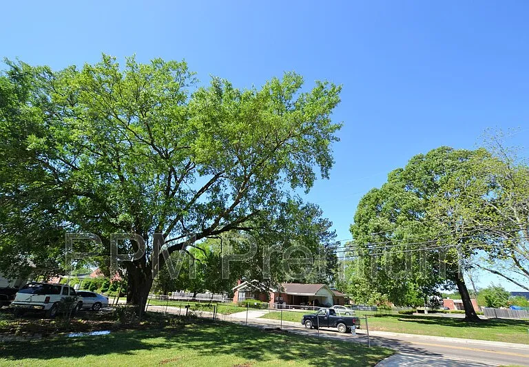 4836 Rollins Rd — Photo 27