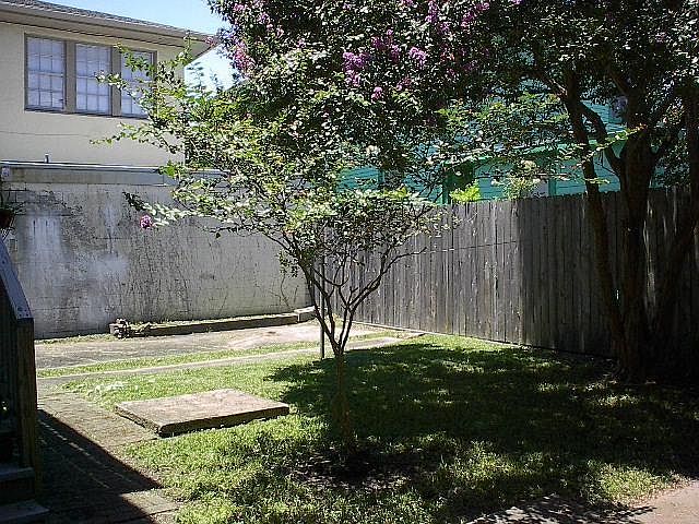 Back Yard