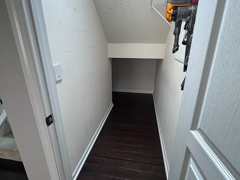 Downstairs closet